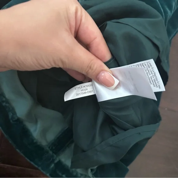 Nwt j crew velvet‎ green sheer sleeves long sleeve dress - Picture 13 of 13